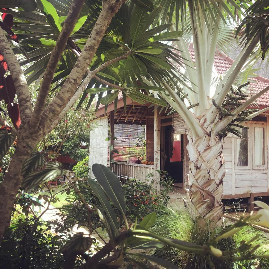 Harry'S Ocean House Pacitan Apartment Exterior foto